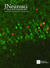 Cover of J. Neurosciencie