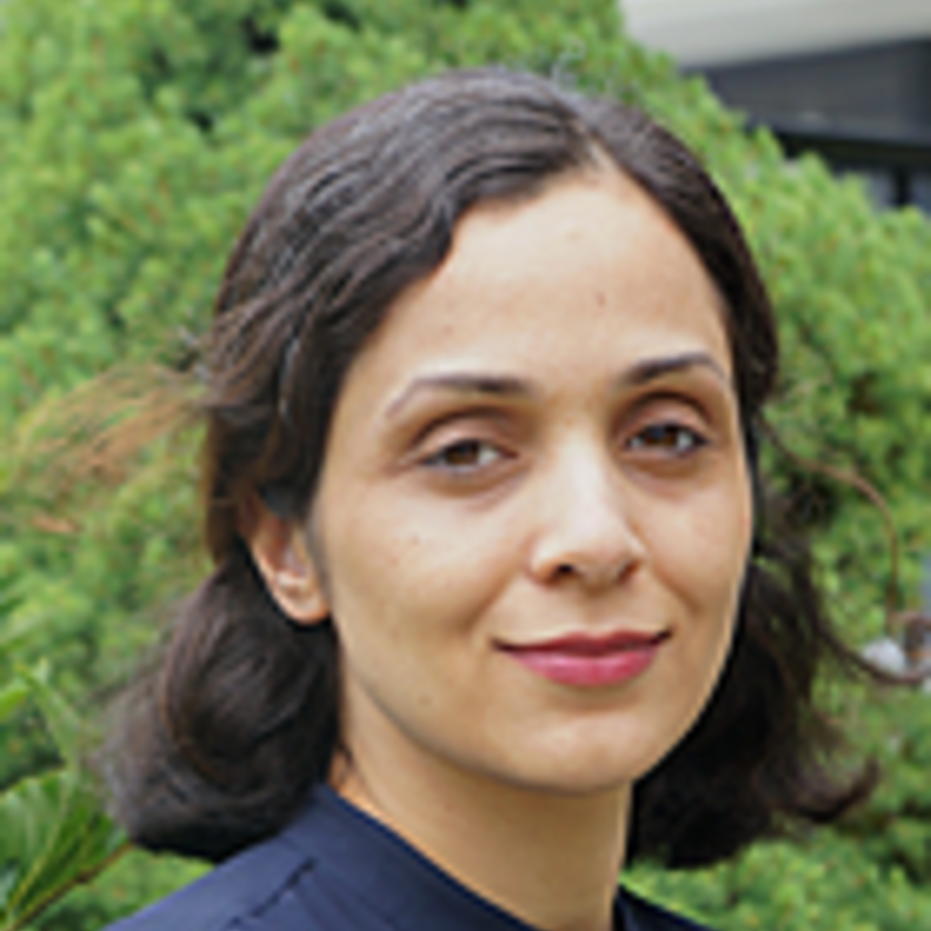 Mathematics Faculty Colloquium - Zahra Aminzare; University of Iowa Department of Mathematics promotional image